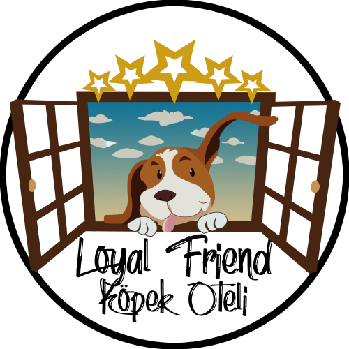 Köpek Oteli >> Dog Hotel – Güvenilir ve Hijyenik
